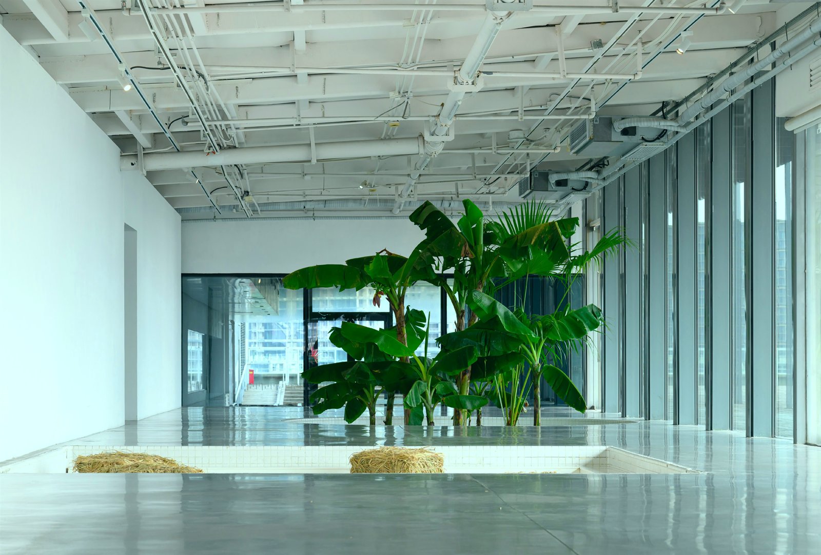 Lichtdurchflutetes Interieur eines Partnerhauses